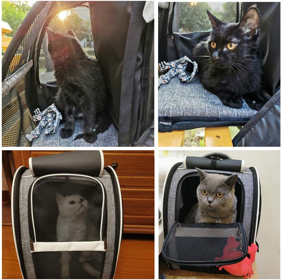 Traveler Bubble Backpack for Cats & Dogs