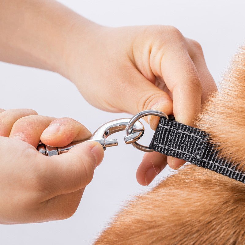 Retractable Leash for All Dog Sizes