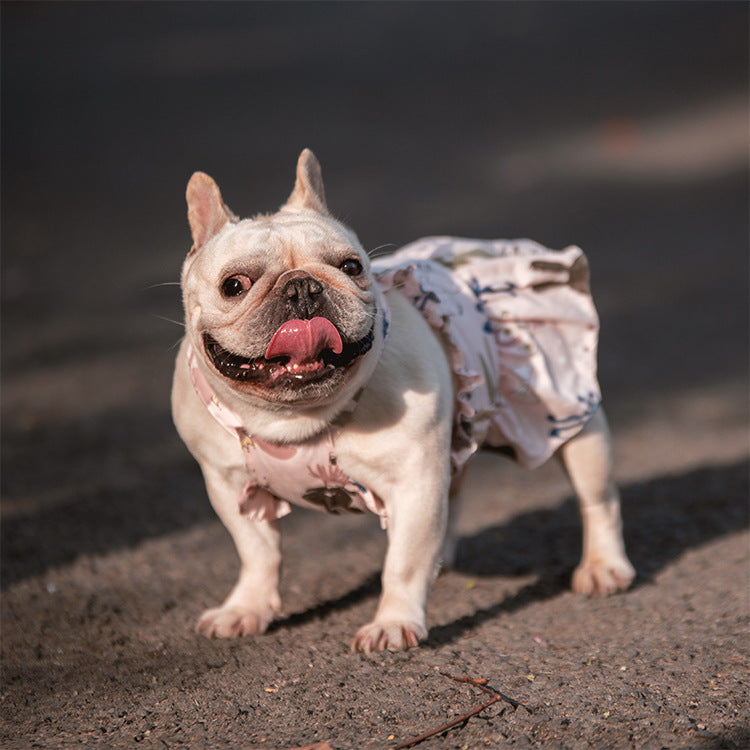 Teddy Schnauzer Dog & Cat Skirt