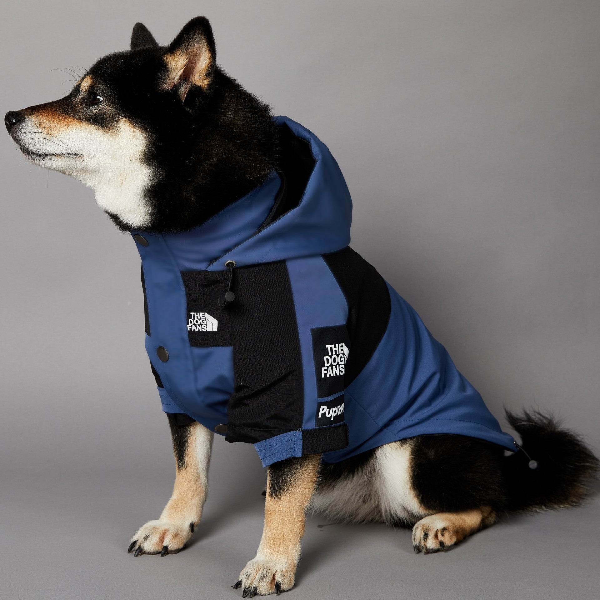 Windproof & Rainproof Large Dog Jacket