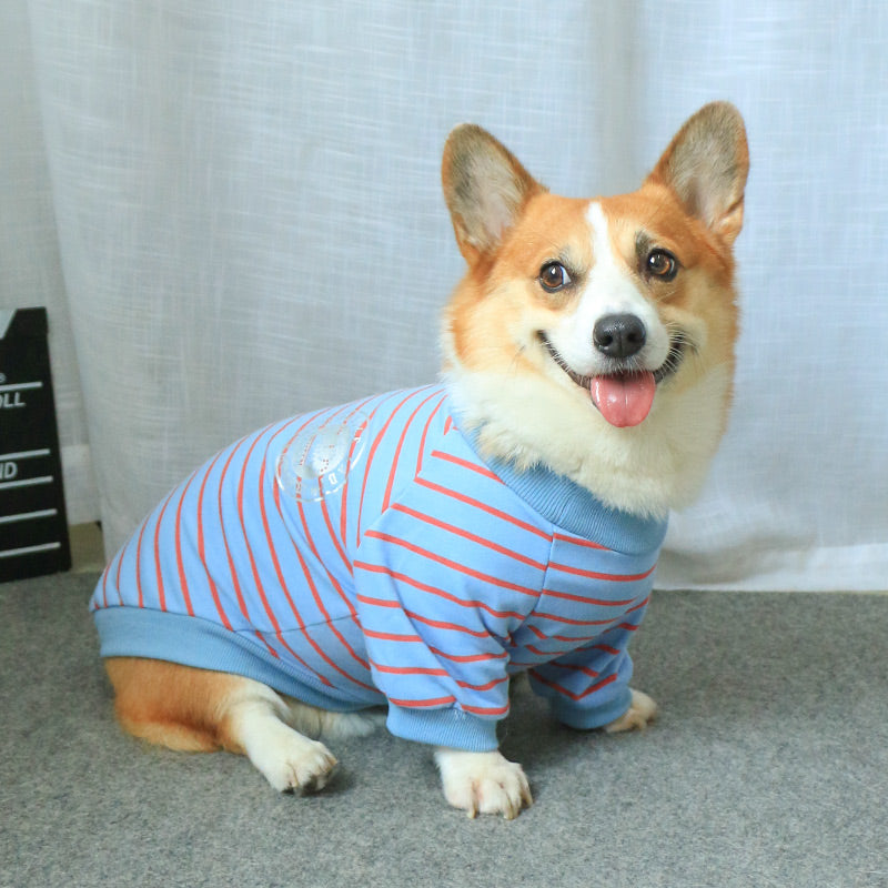 Pet & Owner Matching Dog Sweater