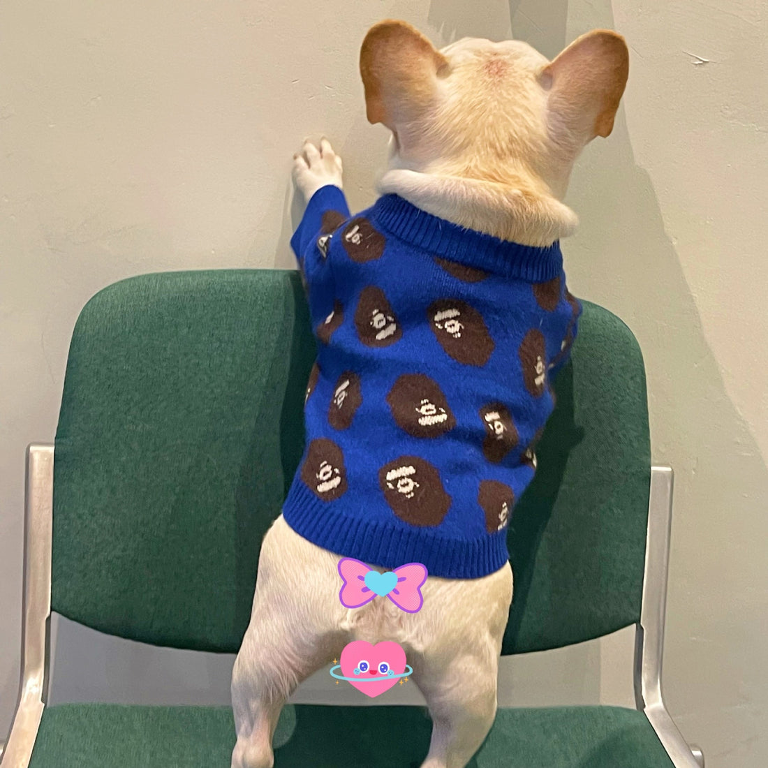 Trendy Winter Sweater for Dogs & Cats