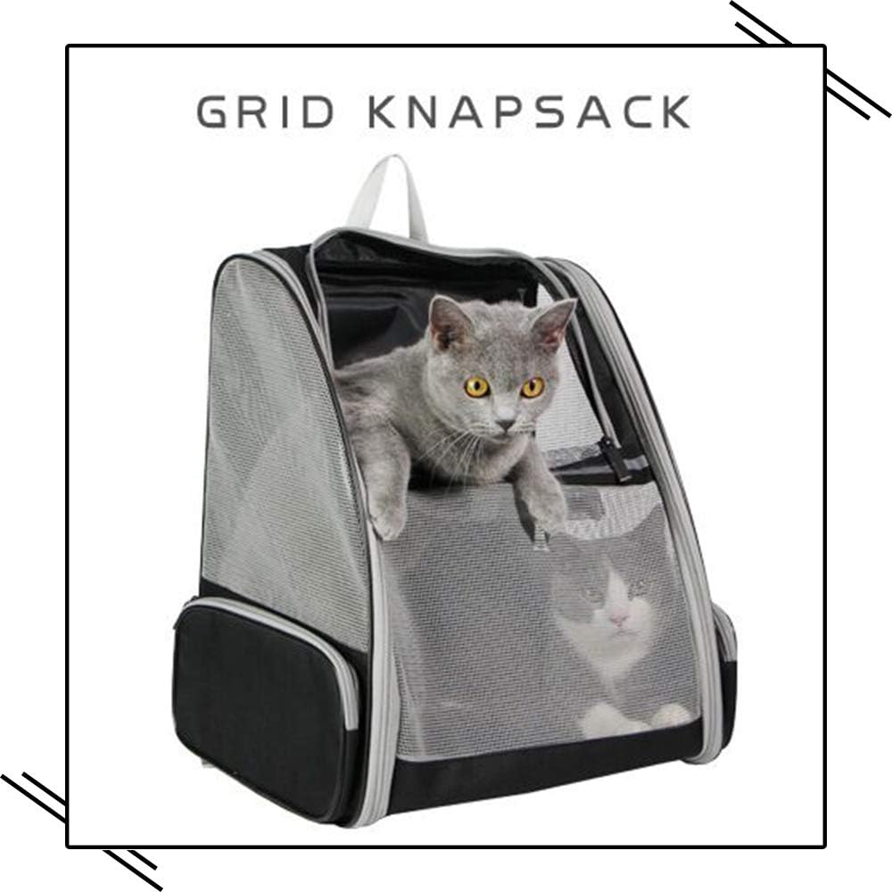 Traveler Bubble Backpack for Cats & Dogs