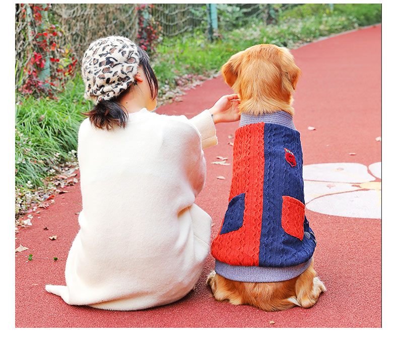 Thick Winter Sweater for Large Dogs