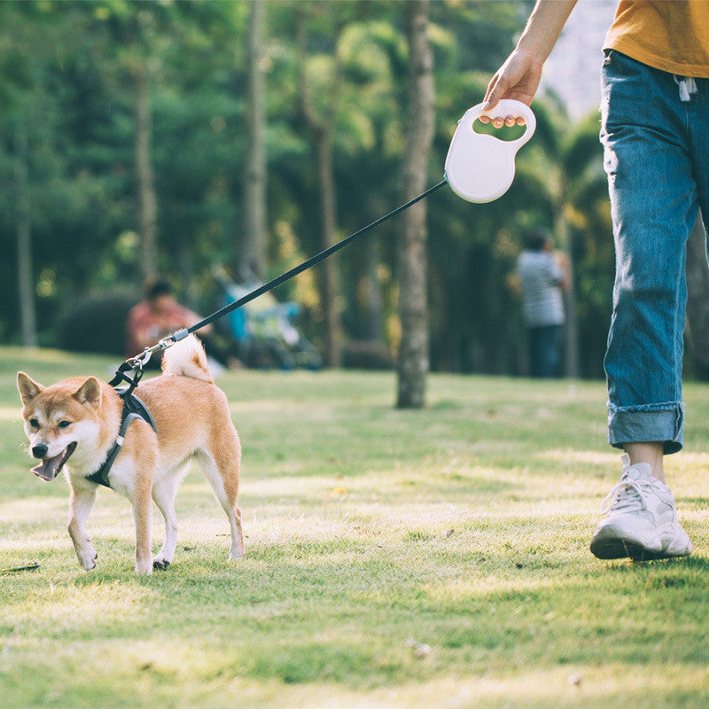 Retractable Leash for All Dog Sizes