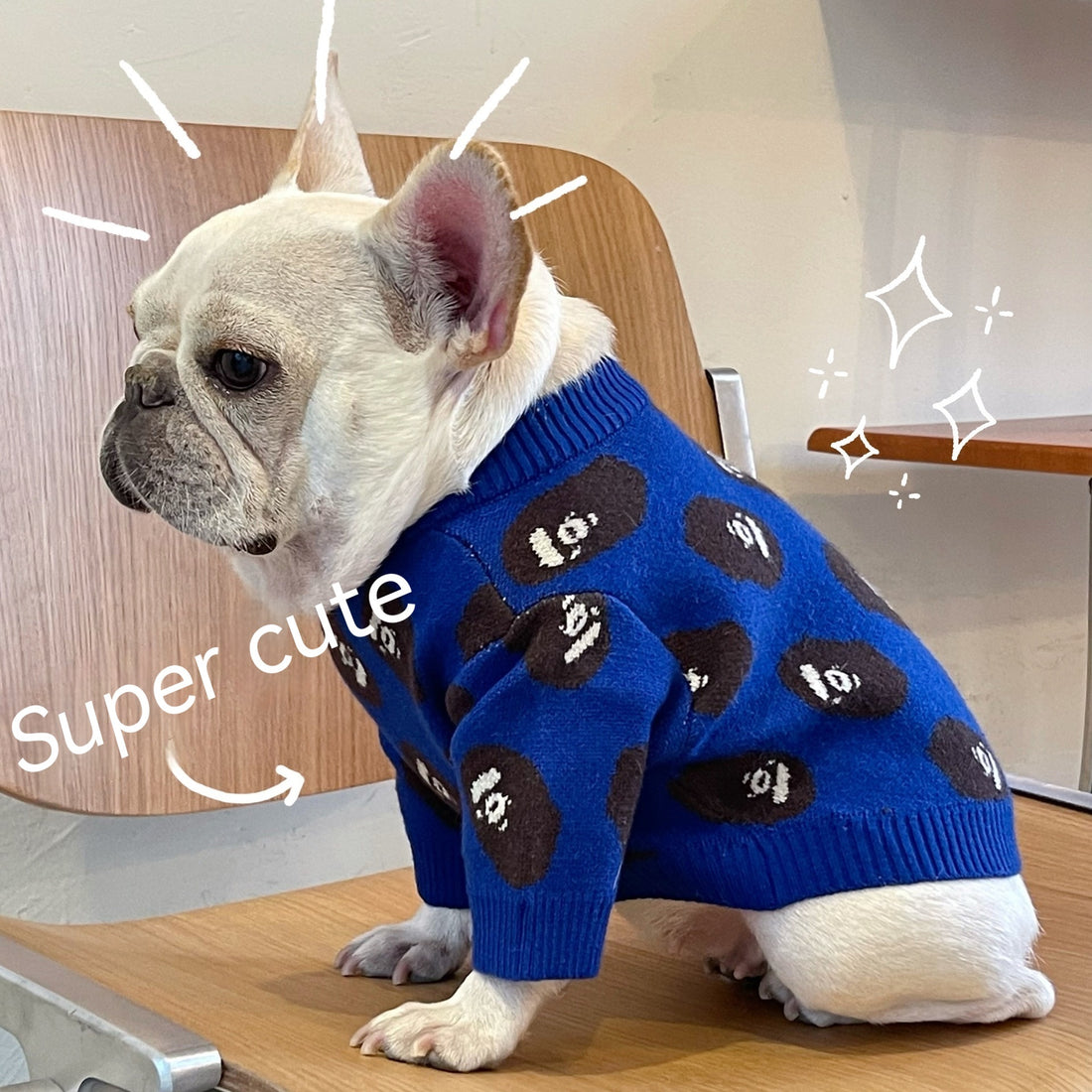 Trendy Winter Sweater for Dogs & Cats