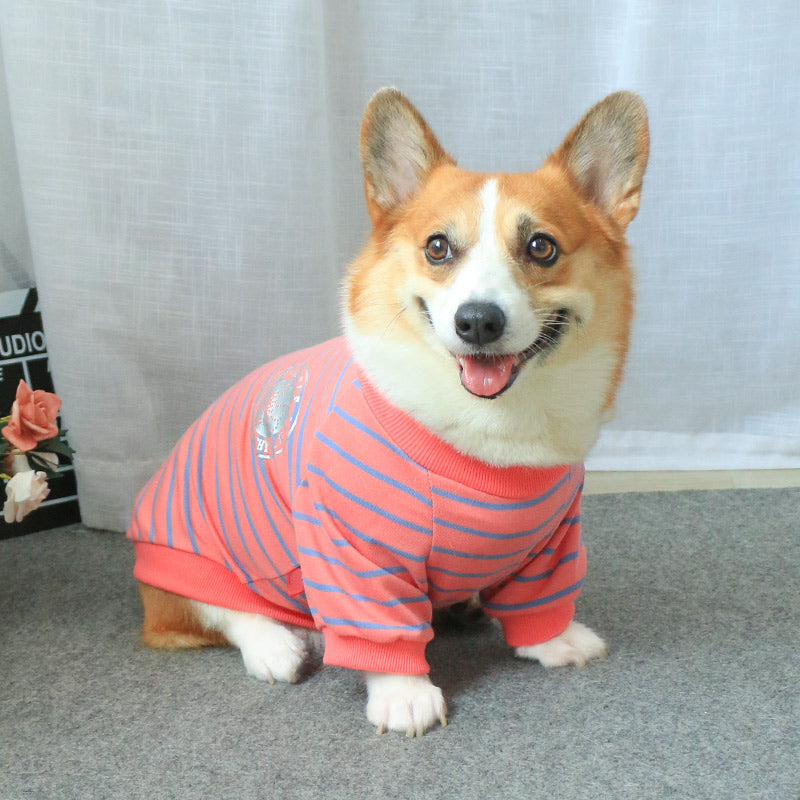 Pet & Owner Matching Dog Sweater