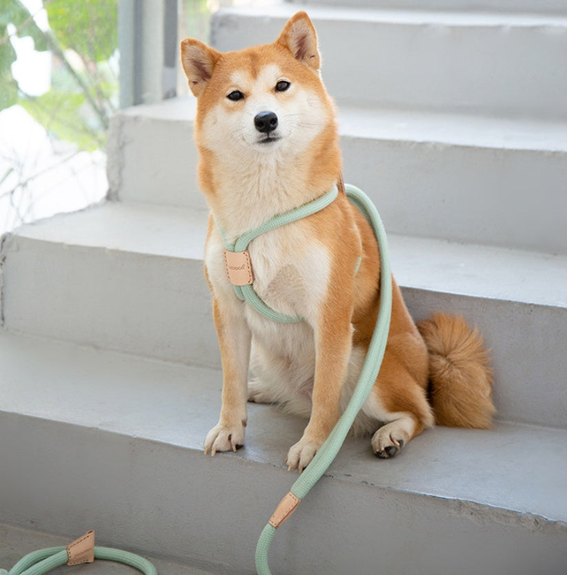 Dual-Purpose Round Rope Dog Leash