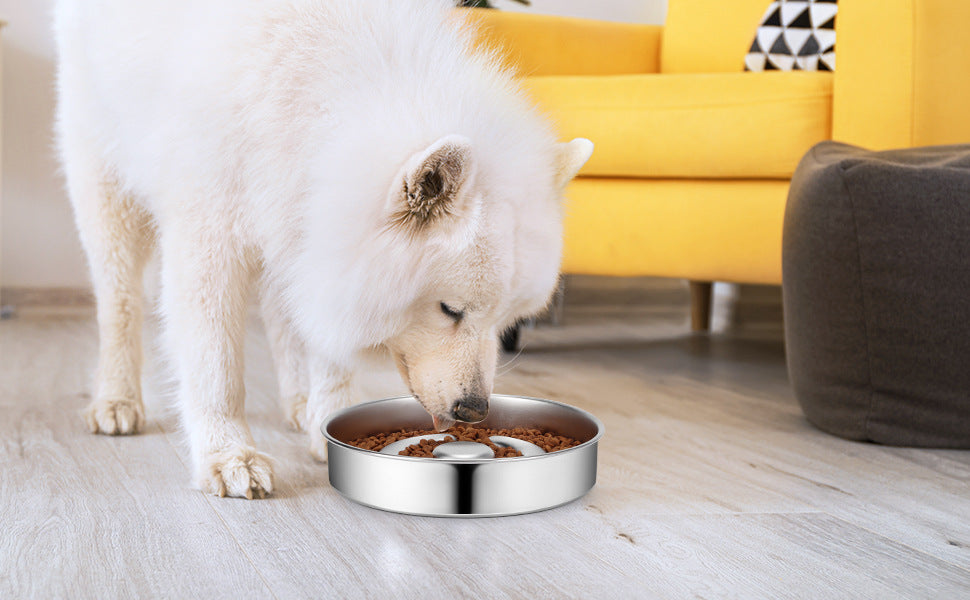 Stainless Steel Slow-Feed Pet Bowl