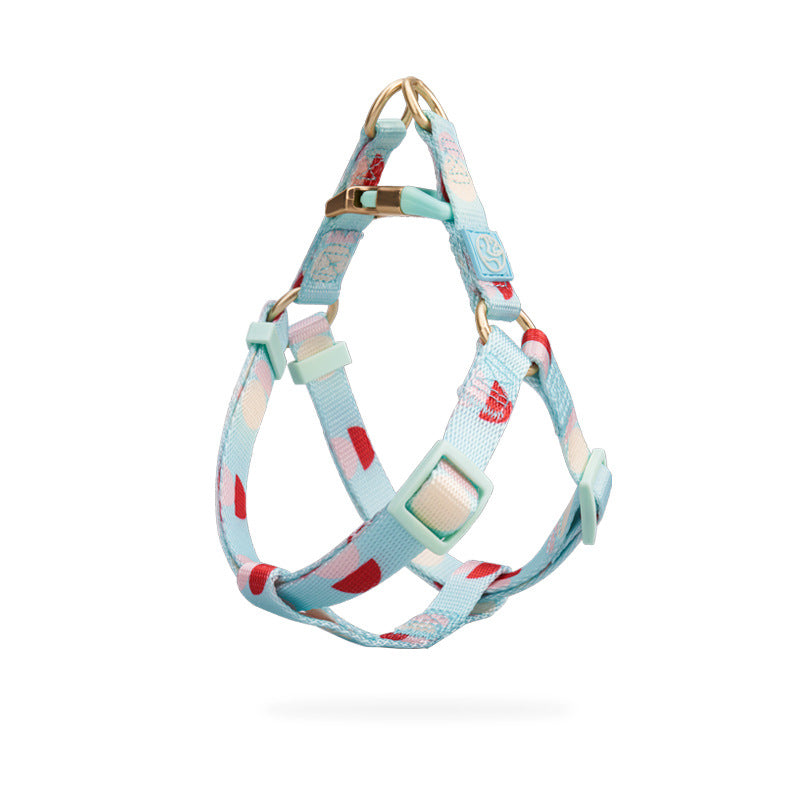 Y-Shaped Pet Chest Strap Leash