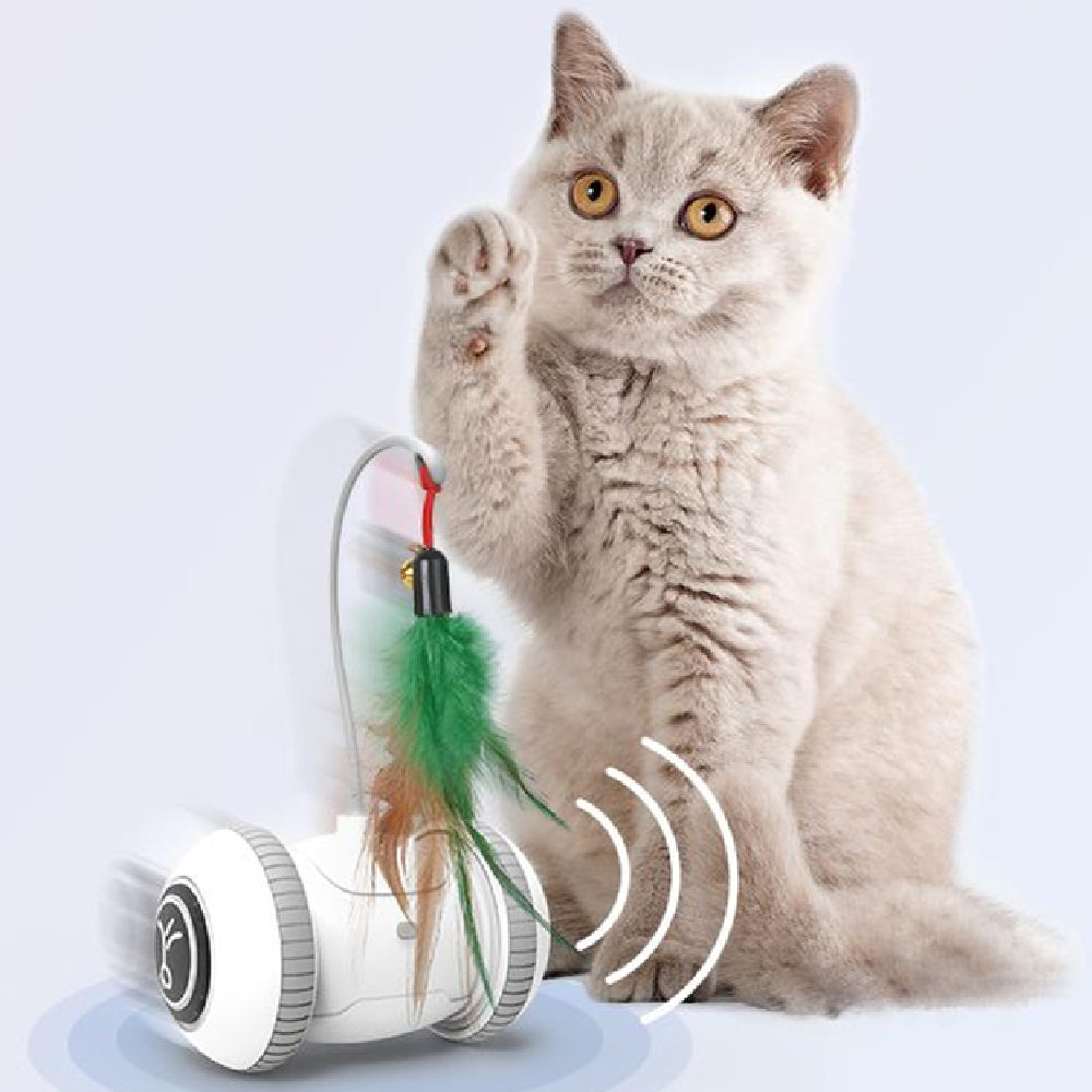 Interactive Cat Toy with Interchangeable Feather Heads