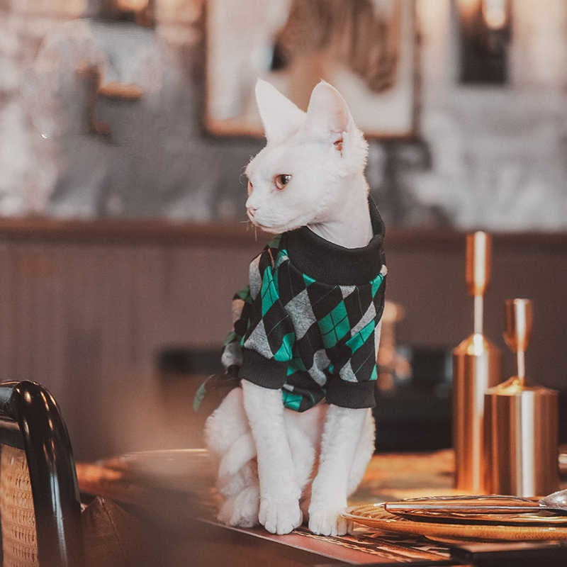 Plaid Cotton Long-Sleeve Sweater for Hairless Cats
